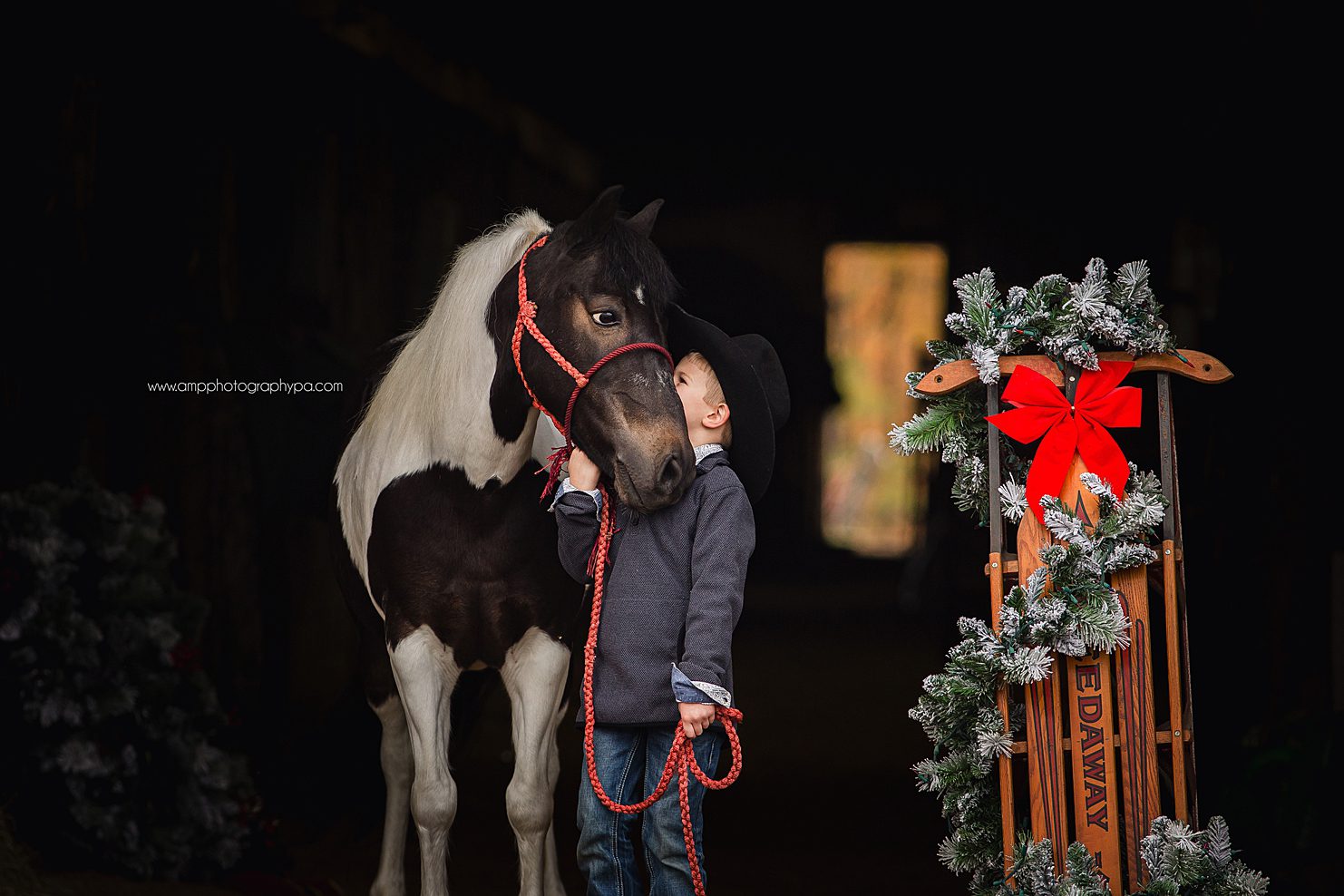 AMP Photography Pittsburgh PA Child Photographer Pony Pictures -10.jpg