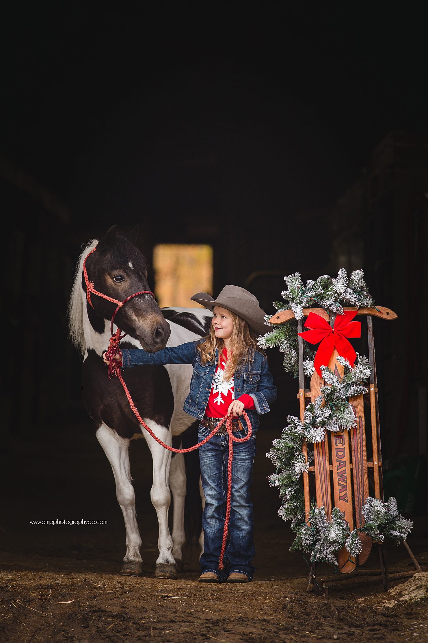 AMP Photography Pittsburgh PA Child Photographer Pony Pictures -15.jpg