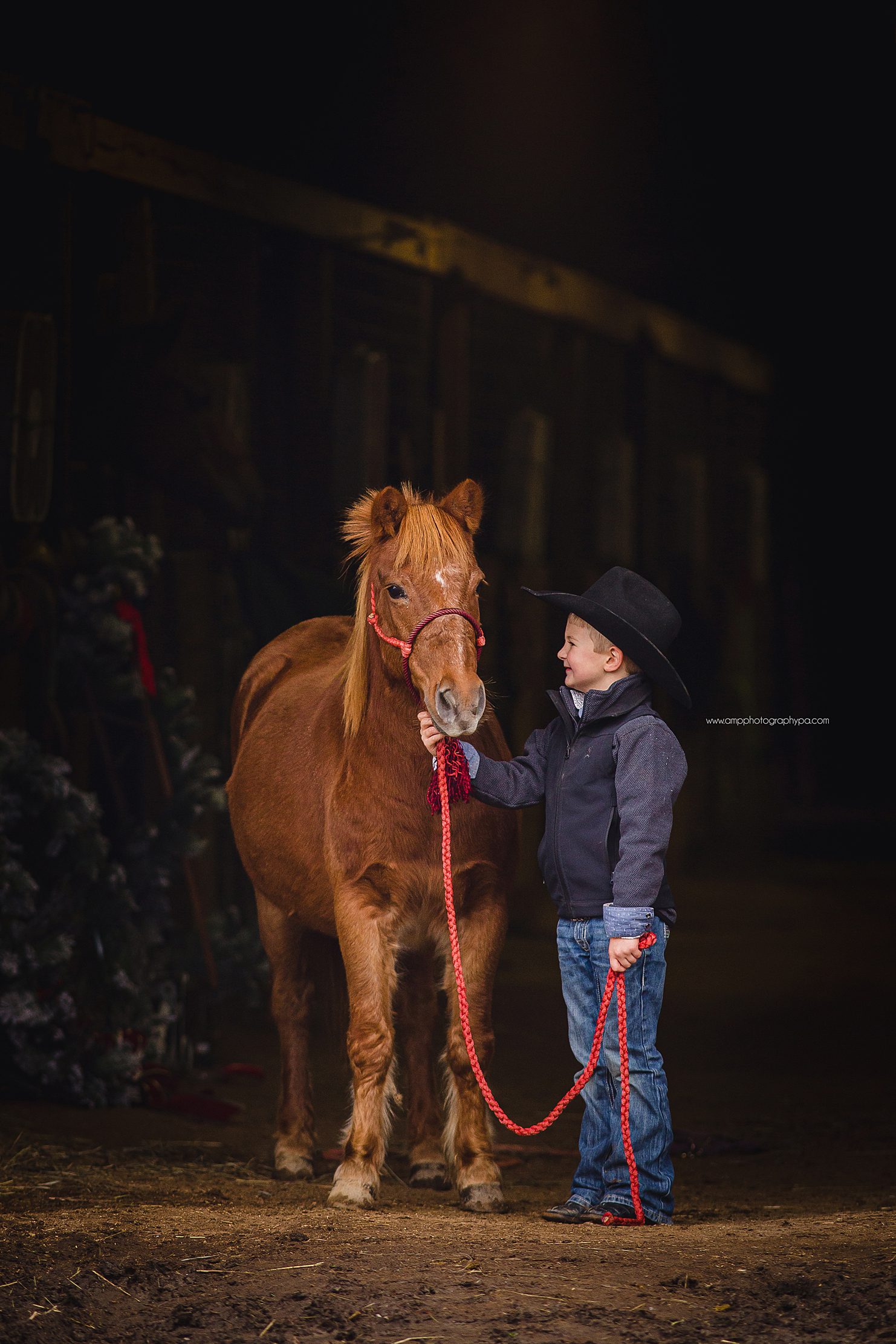 AMP Photography Pittsburgh PA Child Photographer Pony Pictures -38.jpg