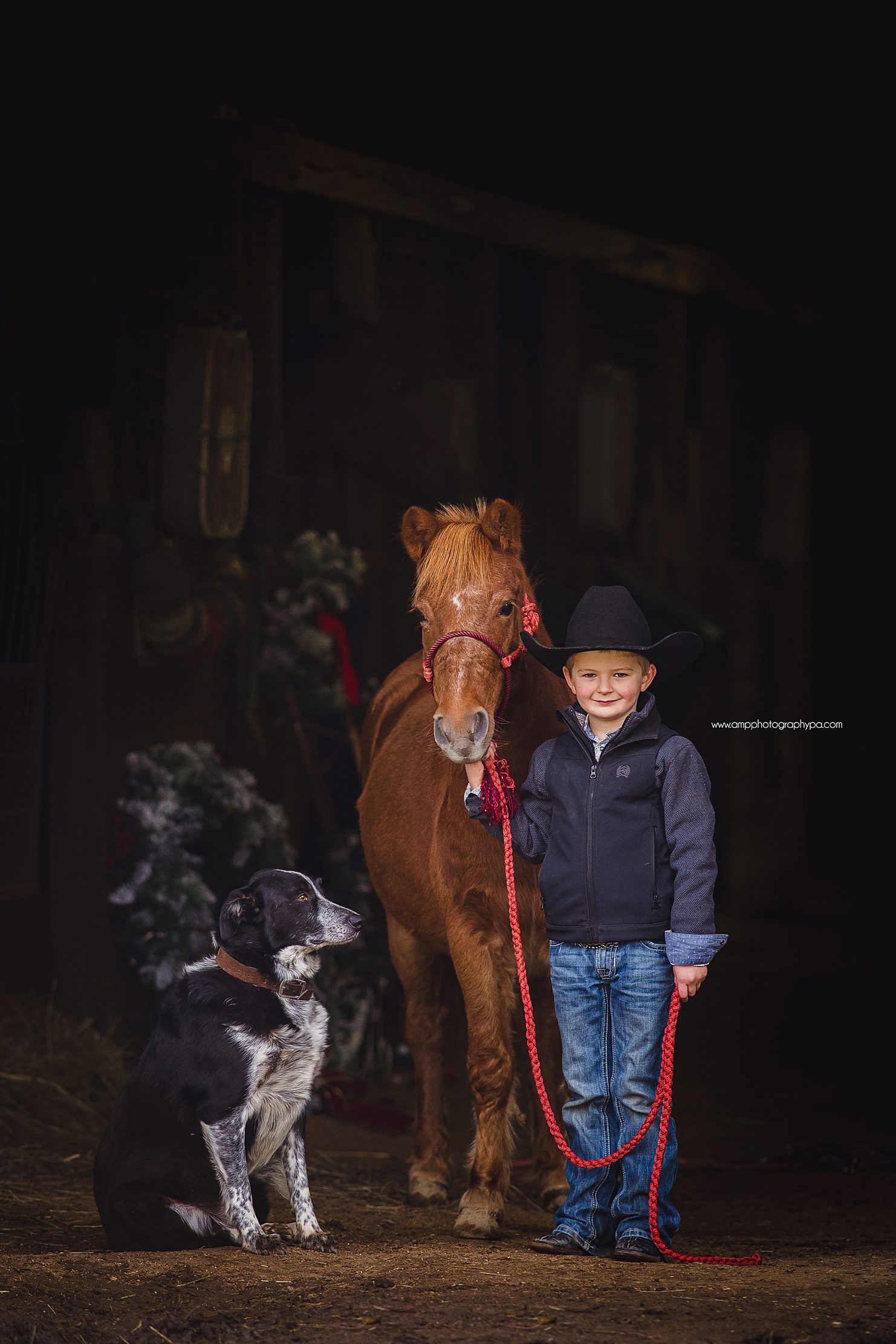 AMP Photography Pittsburgh PA Child Photographer Pony Pictures -41.jpg