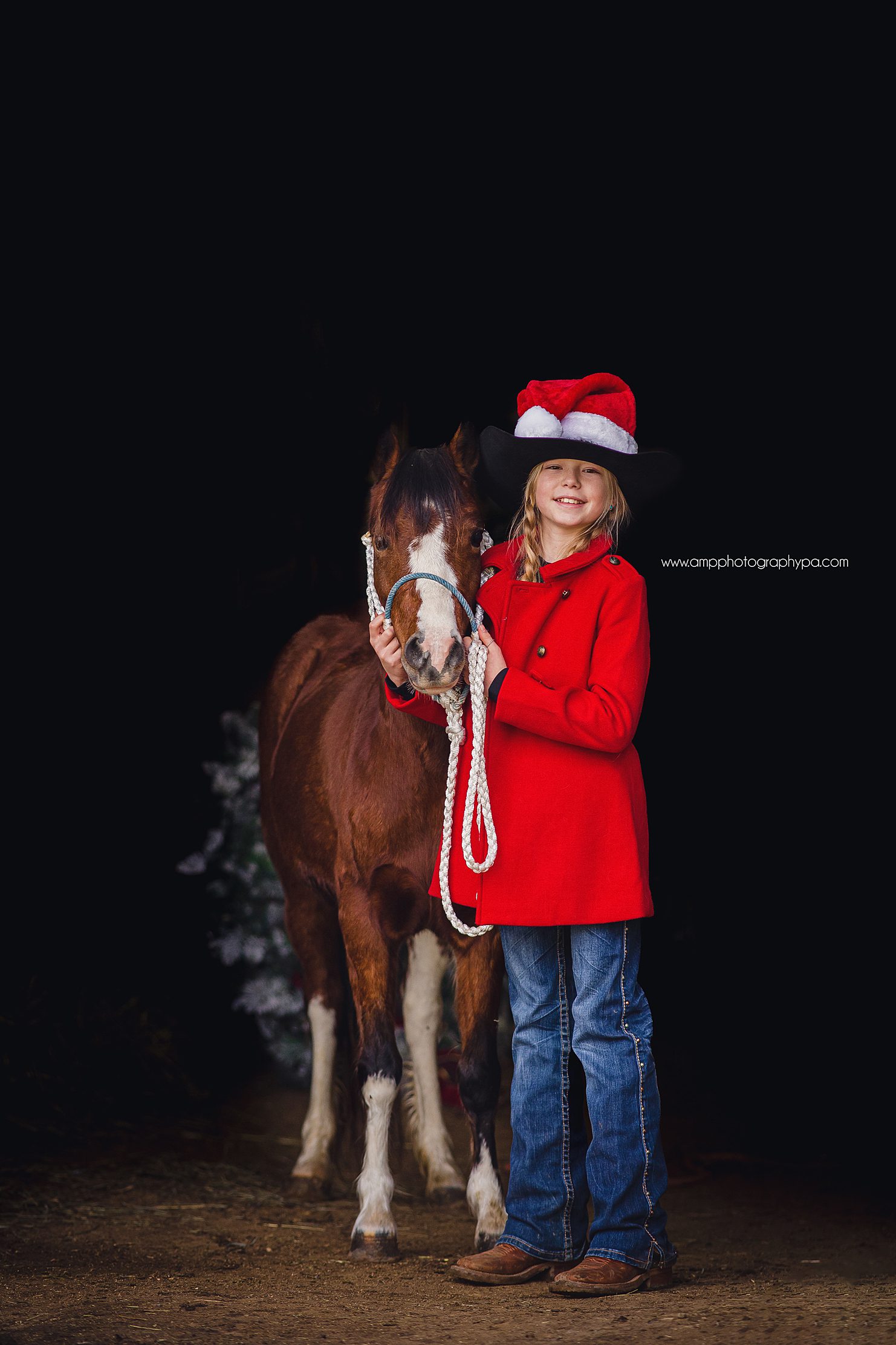 AMP Photography Pittsburgh PA Child Photographer Pony Pictures -44.jpg