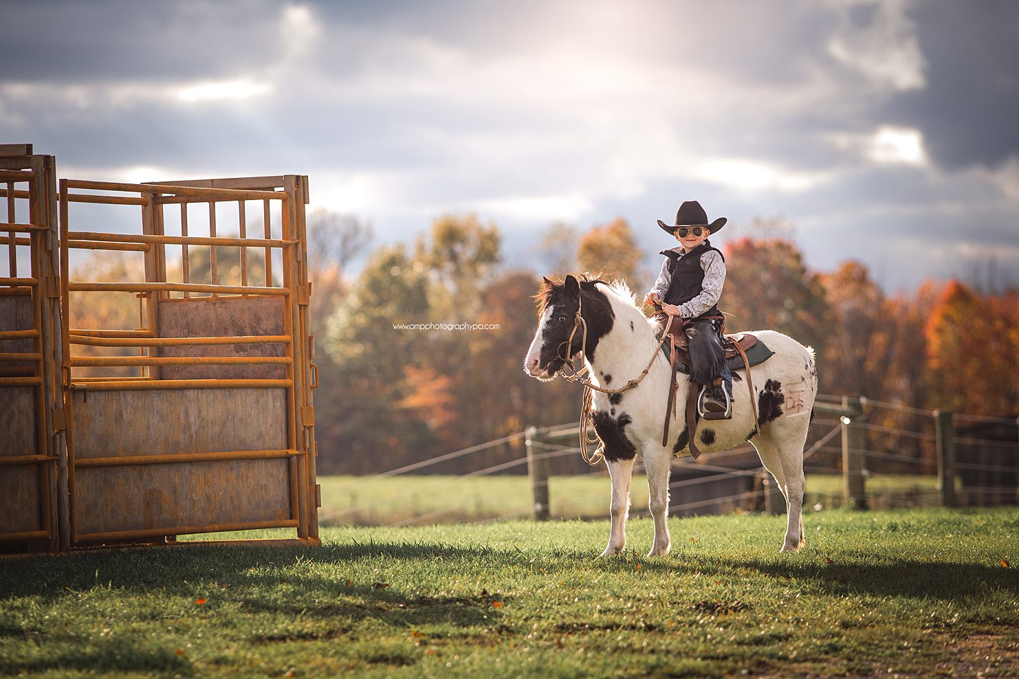 AMP Photography Pittsburgh PA Child Photographer Pony Pictures -56.jpg