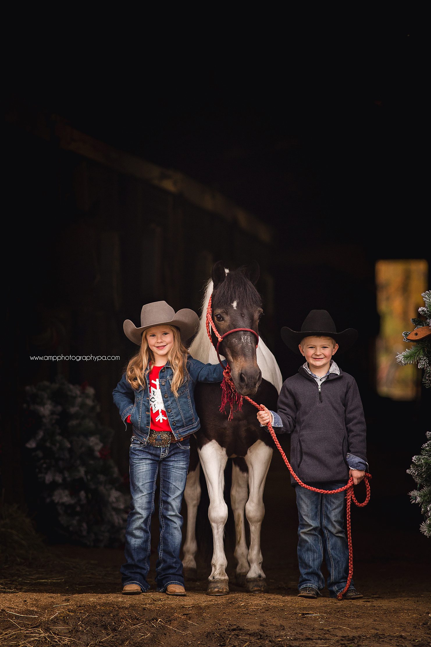 AMP Photography Pittsburgh PA Child Photographer Pony Pictures -7.jpg