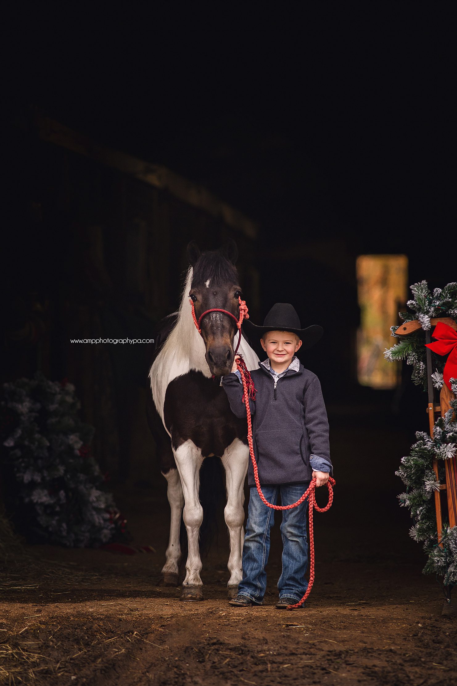 AMP Photography Pittsburgh PA Child Photographer Pony Pictures -8.jpg